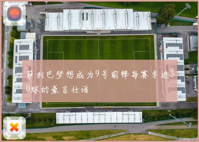萨利巴梦想成为9号前锋每赛季进30球的豪言壮语