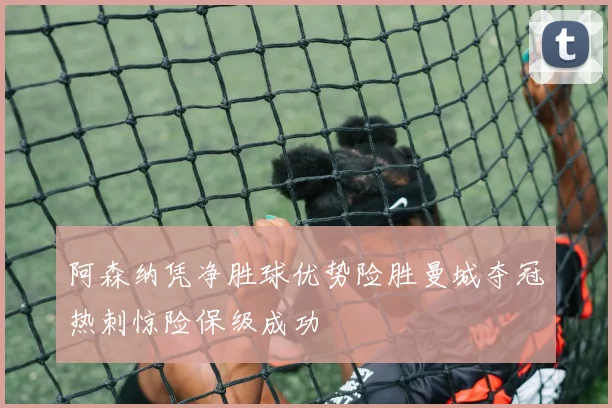 阿森纳凭净胜球优势险胜曼城夺冠热刺惊险保级成功