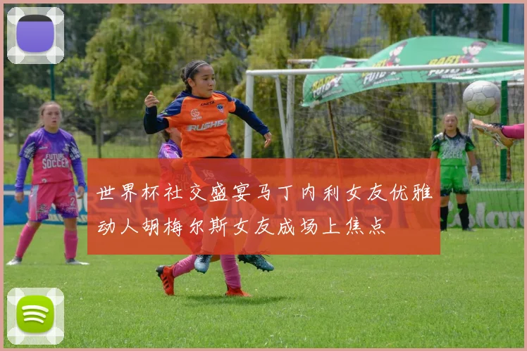 世界杯社交盛宴马丁内利女友优雅动人胡梅尔斯女友成场上焦点